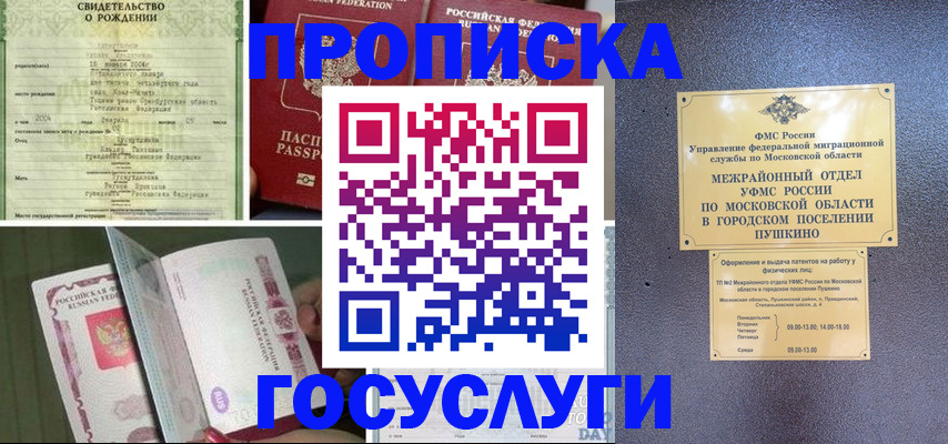 временная регистрация для всех в Мытищах